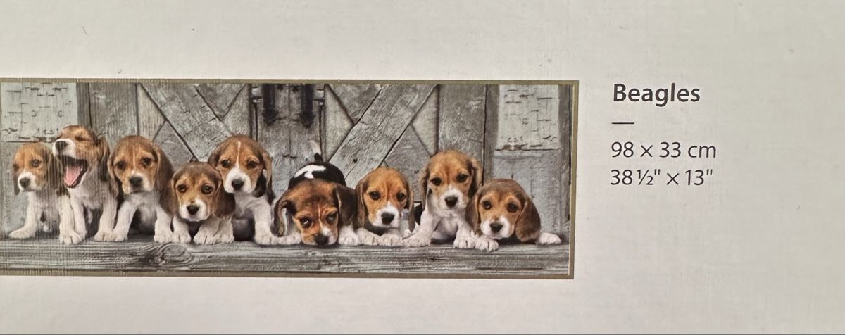 Clementoni Puzzle: Clementoni Puzzle Panorama Beagles, 1000 Teile – Nuovo (secondo la descrizione) da Münsingen venduto da Innchen 2
