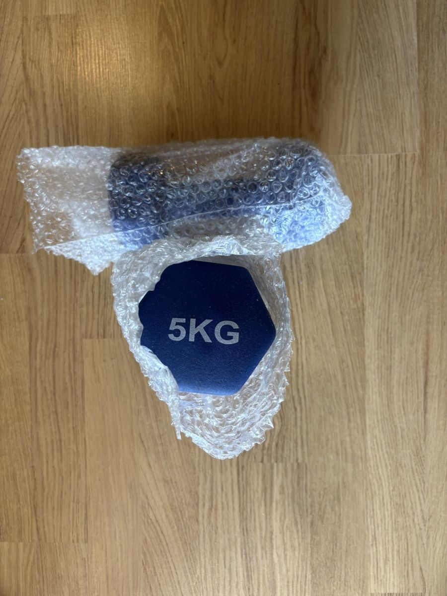 Hometrainer: Dumbbell 5KG blue new – Nuovo (secondo la descrizione) da Chavannes-Renens venduto da obe_6969