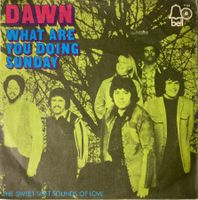 DAWN - WHAT ARE YOU DOING SUNDAY