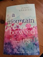 a Mountain Between Us         Jenni Krawiec, Roman