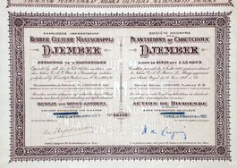 SA des Plantations de Caoutchouc de Djember - 1925