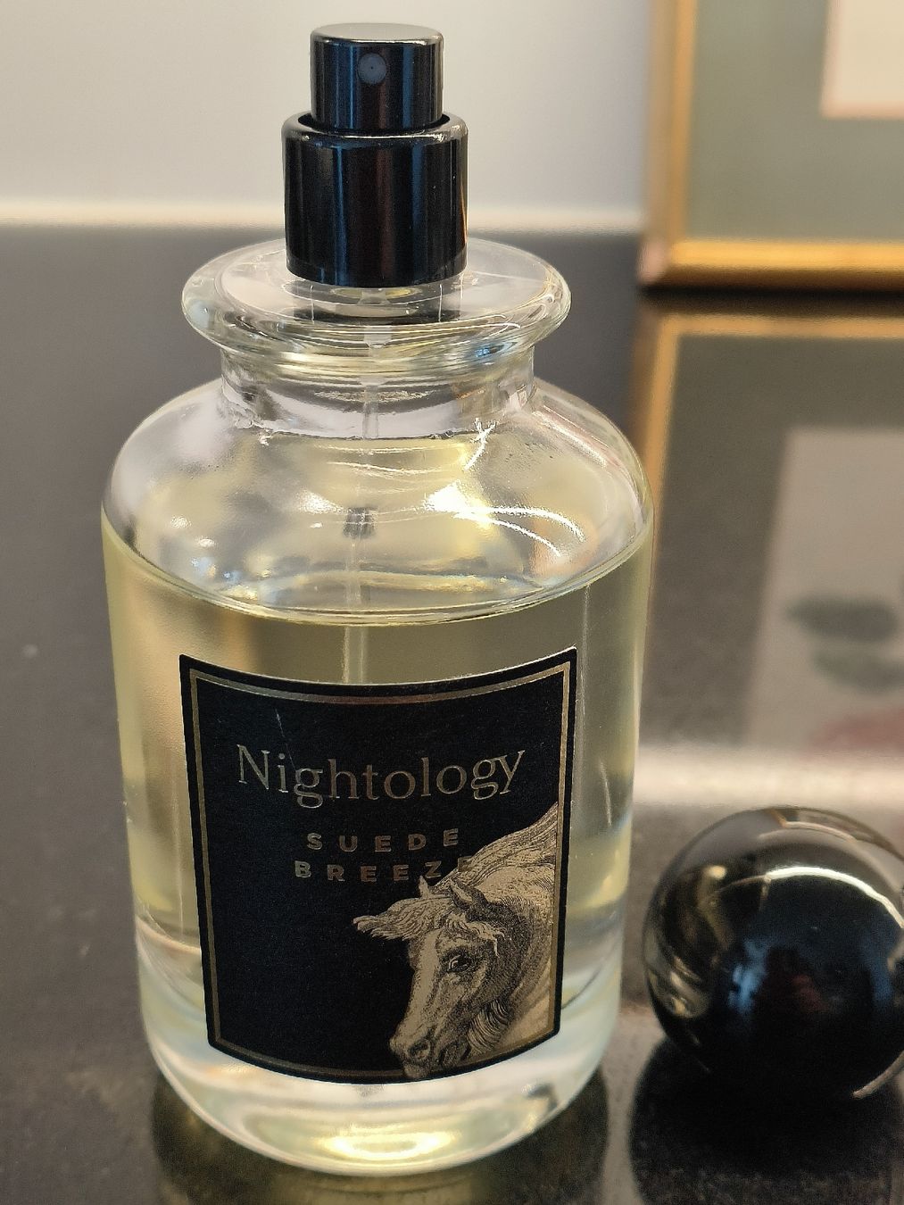Profumi & Eau de Toilette: Nightology Suede Breeze 100 ml – Usato da Carouge GE venduto da pro_xrm5 4