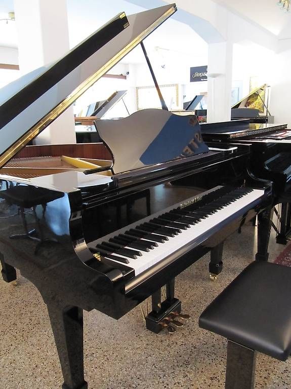 Strumenti musicali: Bachschmidt & Sons 160 Silent – Usato da Bern venduto da Heutschipiano 2