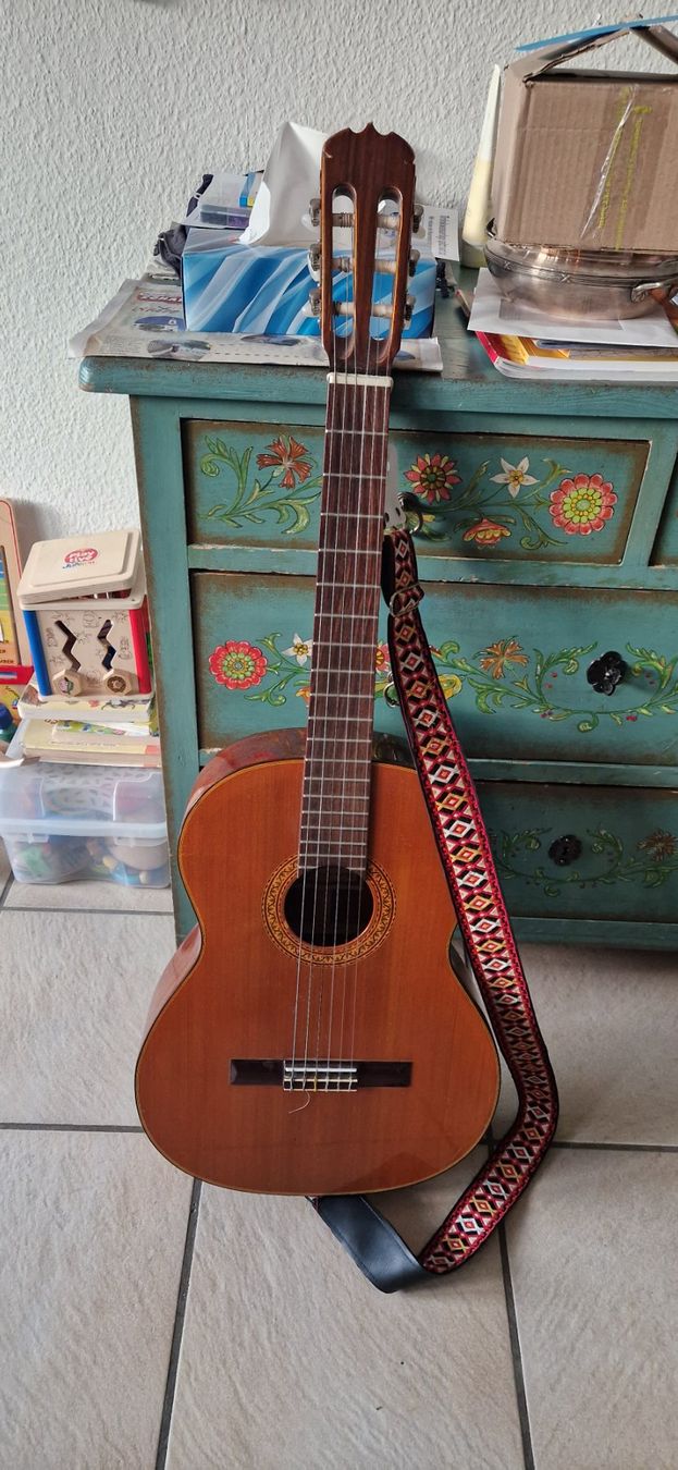 Aria Musikinstrumente: Gitarre Aria – Gebraucht aus Zeiningen von rimoni