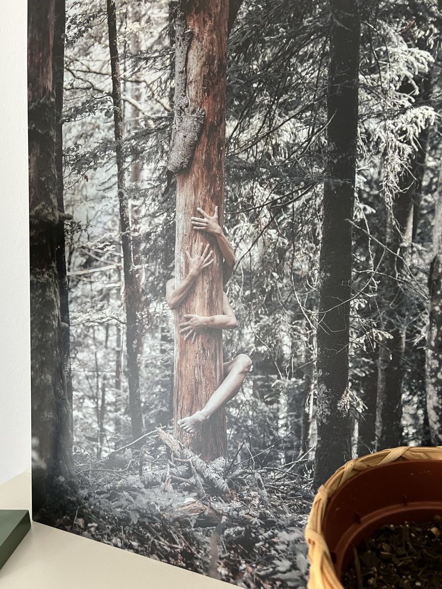 Foto & Immagini: Bild - in Verbindung – Nuovo (secondo la descrizione) da Bern venduto da zanie 2