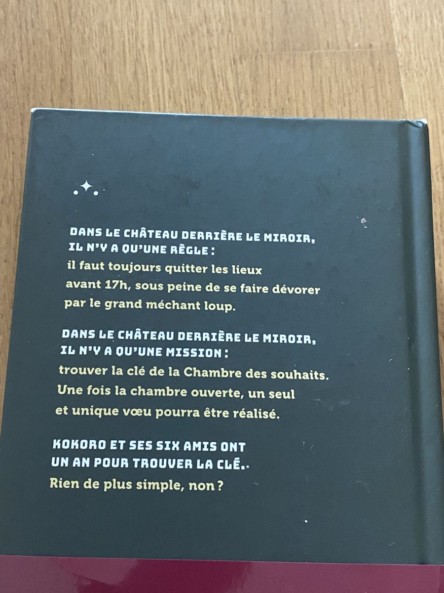 Libri: Livre le château solitaire  – Nuovo (secondo la descrizione) da Thônex venduto da Fontanheiras 1