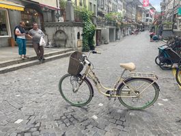 Damen velo Picnic comfort  city Bike lieferung gratis