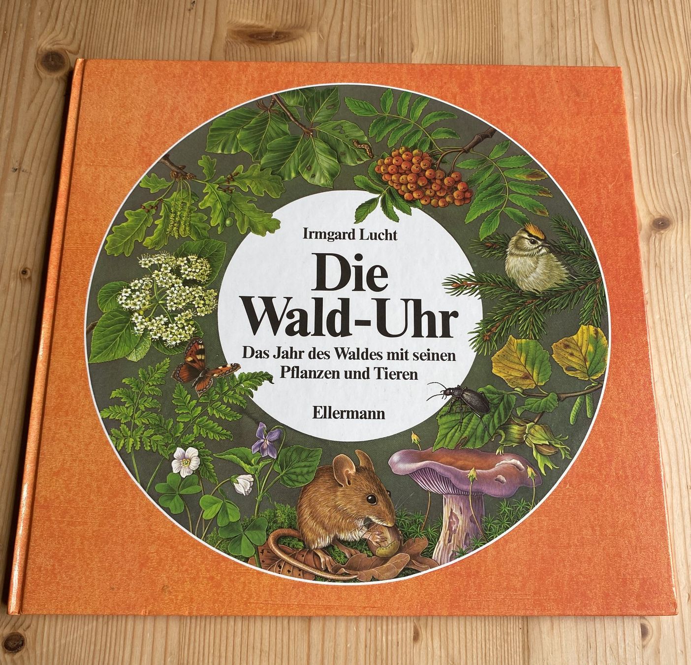Livres: Irmgard Lucht: die Wald-Uhr – D'occasion à Weinfelden par Cheyenne21