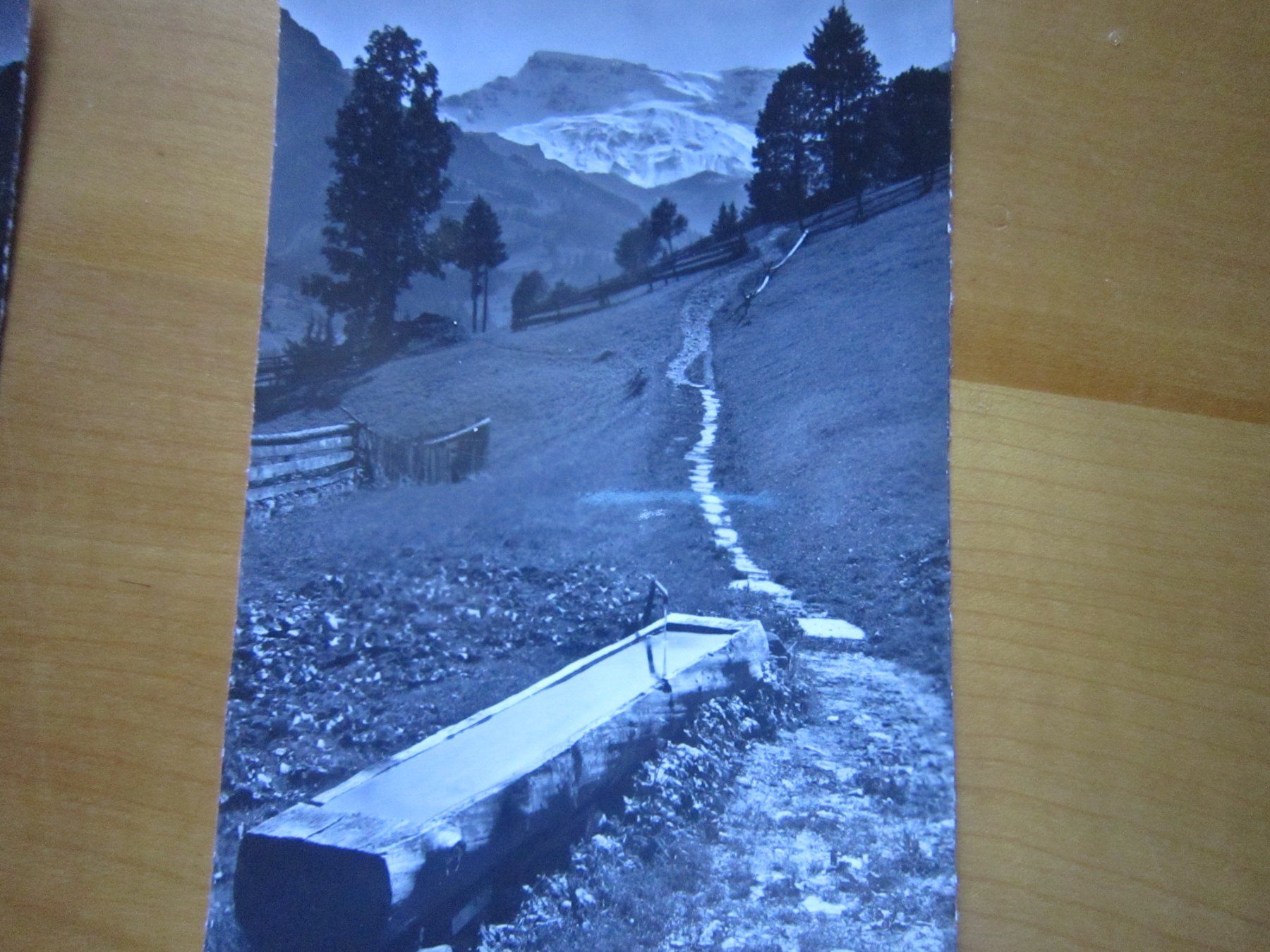 Ansichtskarten: Um Adelboden schöne Postkarten – Gebraucht aus Gordola von Polentaefung 4