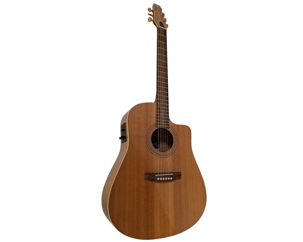 Seagull Instruments de musique: SEAGULL Westerngitarre CW Maple HG Set – D'occasion à Wil SG par Restwert_Wil 1