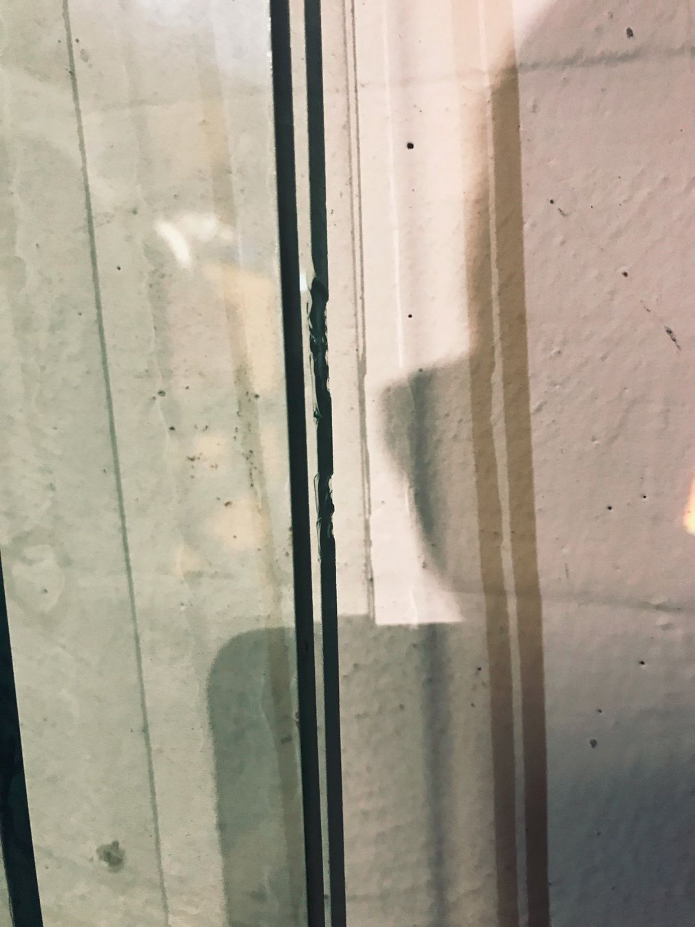 Piatti di portata: Glas Blatt, Blätter – Usato da Kreuzlingen venduto da JOWY72 6