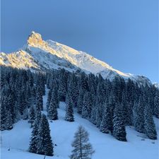 Profile image of Mala_04