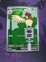 Pidgeotto OBF 208 DE