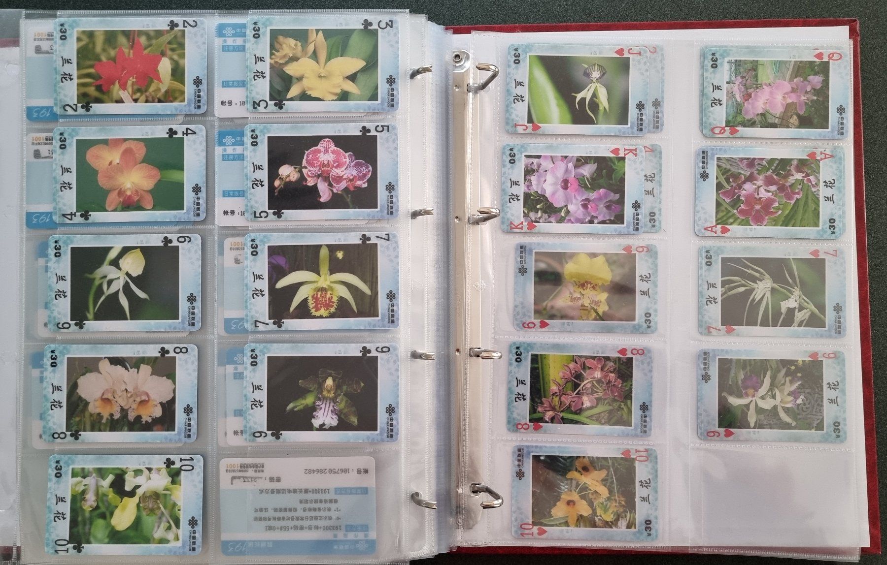 Album: Album 1 Telefonkarten Orchideen – Usato da Lostorf venduto da Dalbi 9