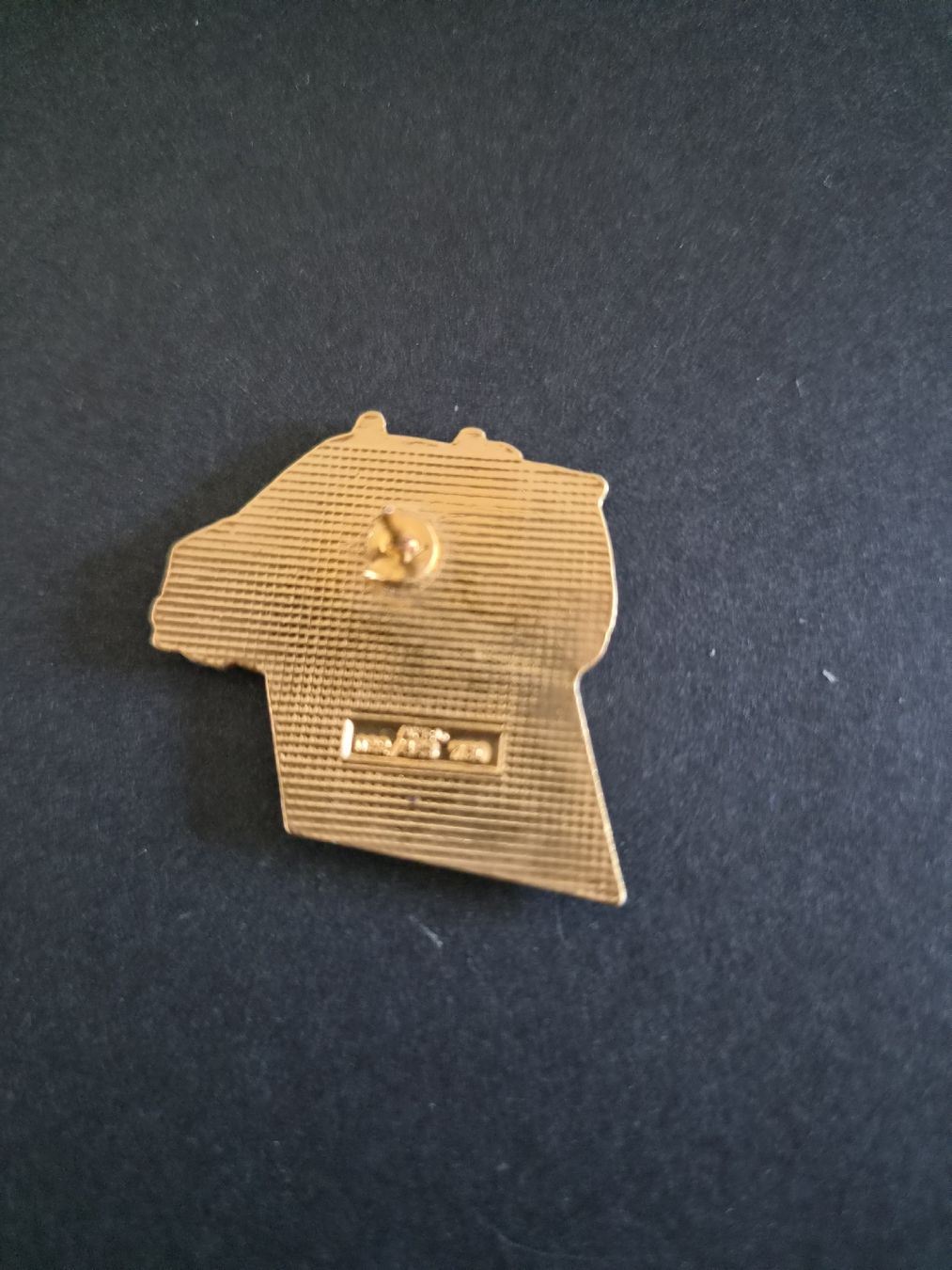 Plaquettes & Badges: Pin's. Police Genève  – D'occasion à Versoix par rucio 1