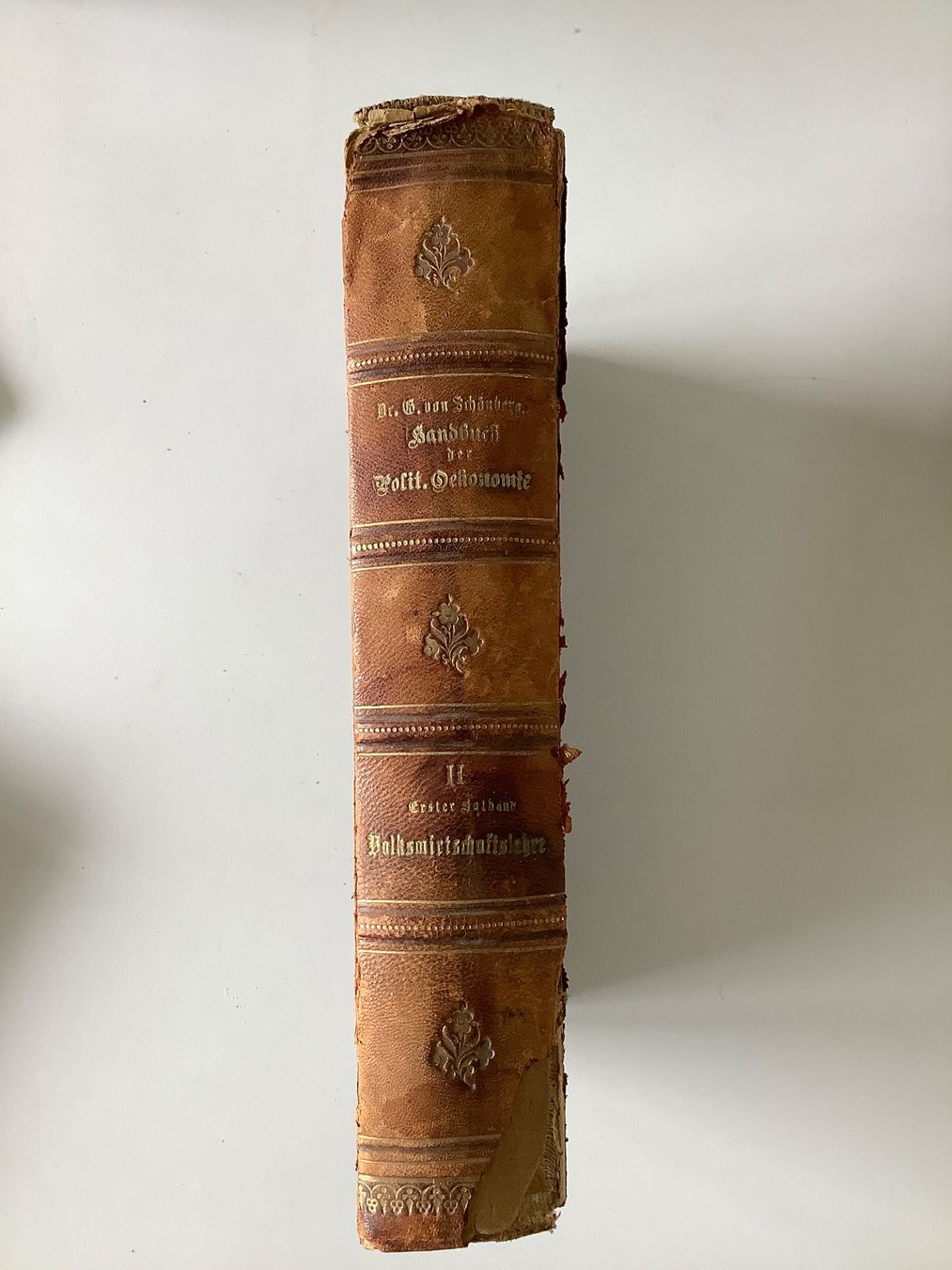 Libri: Zwei antike Bücher von 1896 – Usato da Triesen venduto da boston7 3