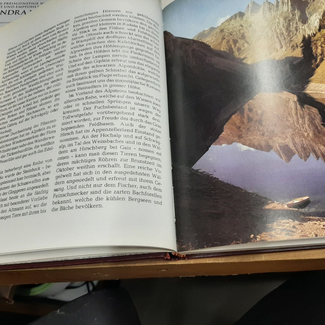 Libri: Schweizer Kantone ( Appenzell) – Usato da Zürich venduto da Schoebi19 3