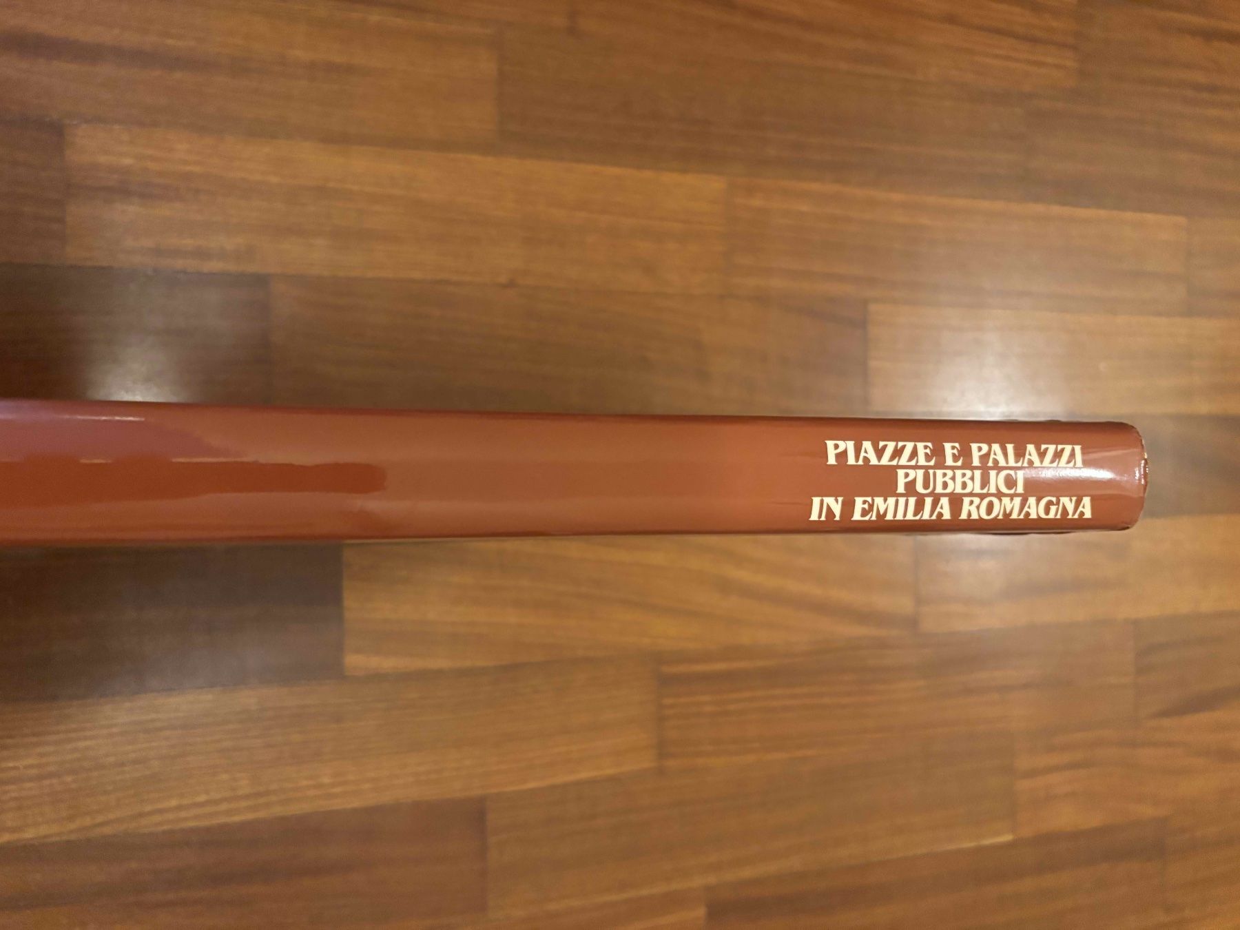 Libri: Piazze e Palazzi Pubblici in Emilia Romagna – Usato da Lugano venduto da Mark_Young 1