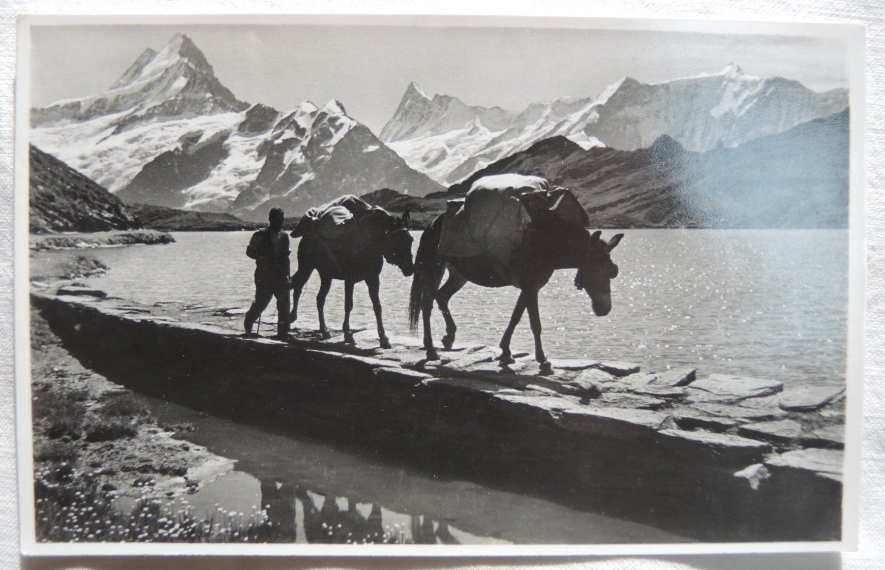 Cartes postales: Ansichtskarte Bachalpsee Grindelwald – D'occasion à Niederried b. Kallnach par hanatim