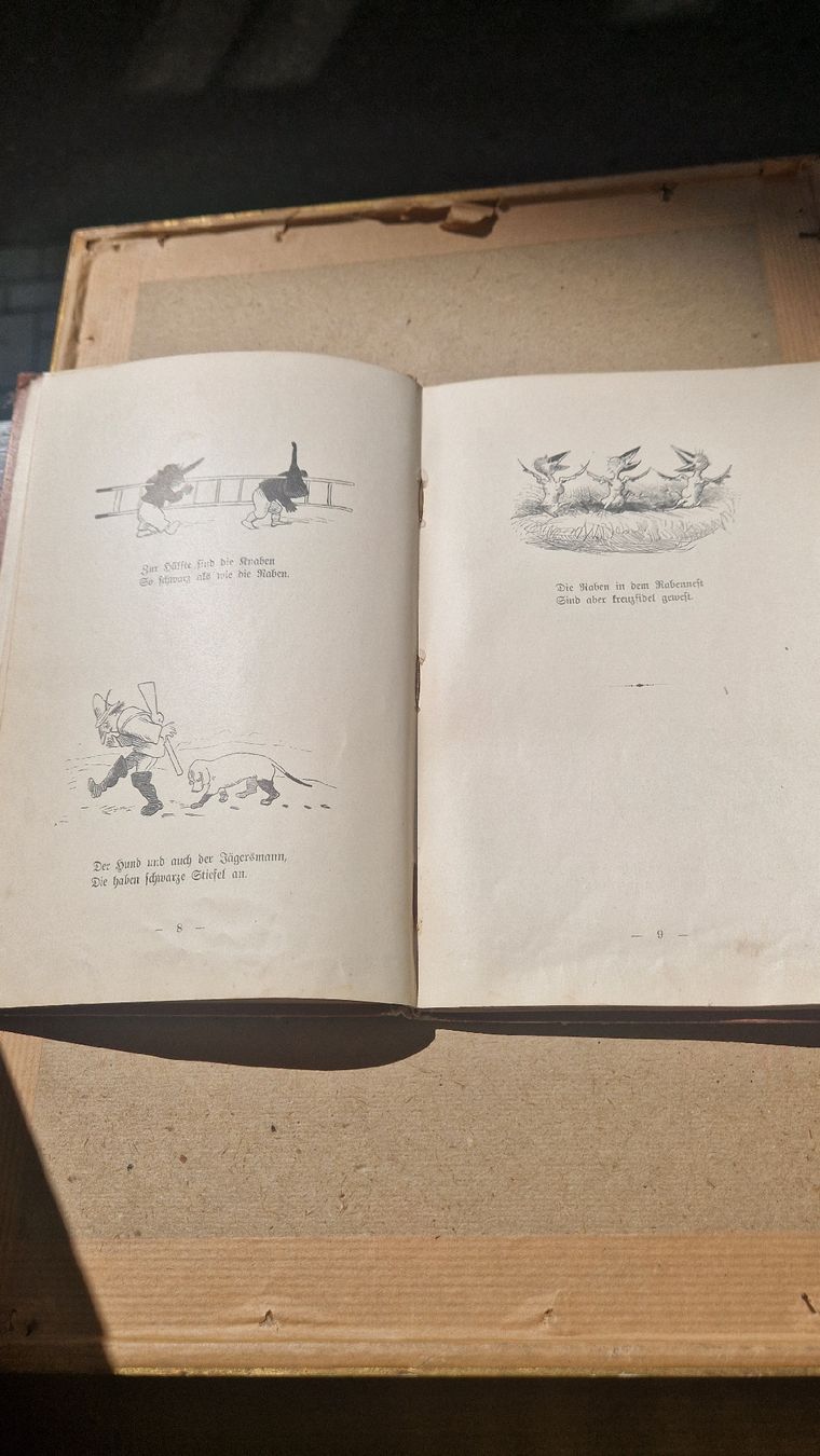 Bücher: Willhelm Busch das Rabennest 1912 – Gebraucht aus Wetzikon ZH von Oldieslover 6
