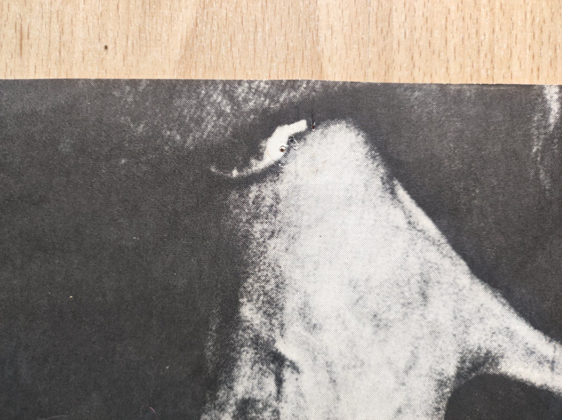 Foto & Immagini: JOSEPH BEUYS - ORIGINAL-PLAKAT - SIGNIERT – Usato da Goldach venduto da Gaip 7