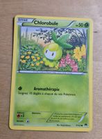 CHLOROBULE 7/122 VINTAGE 2016 XY RUPTURE TURBO FRANÇAIS