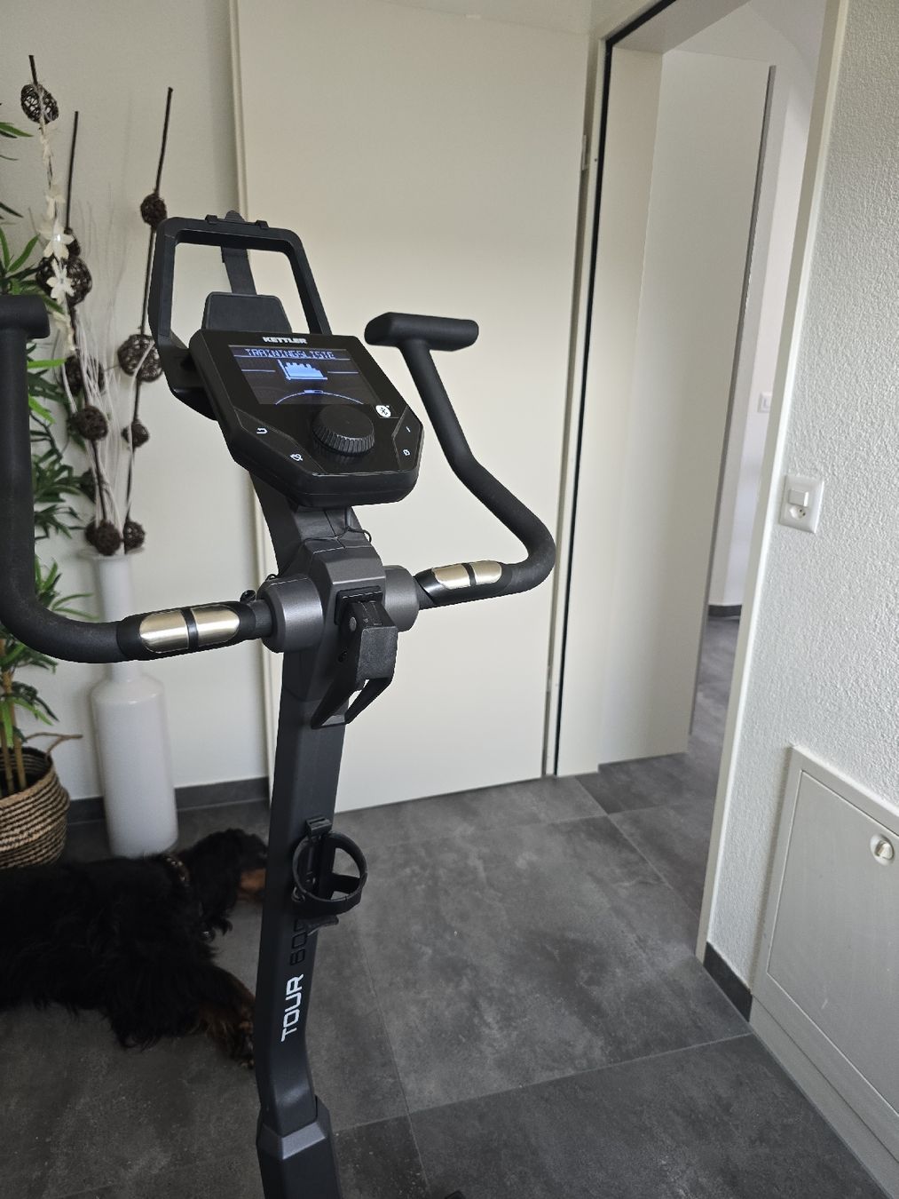 Kettler Vélos d'appartement: Kettler Tour 600 – D'occasion à Therwil par Topaz68
