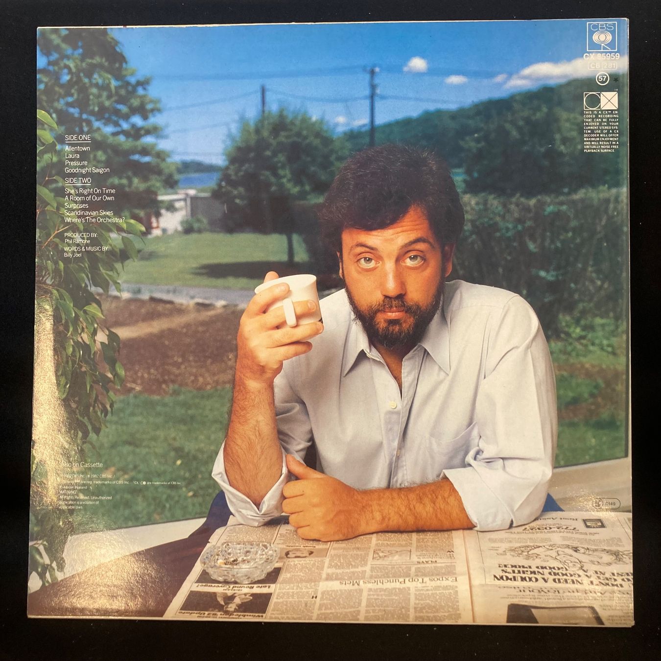 Dischi in vinile: Billy Joel / The Nylon Courtain – Usato da St.Gallen venduto da Out-take 1
