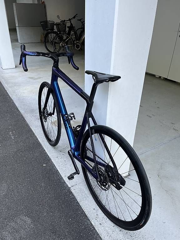 Velos: Rose reveal four – Gebraucht aus Luzern von Neviller 1
