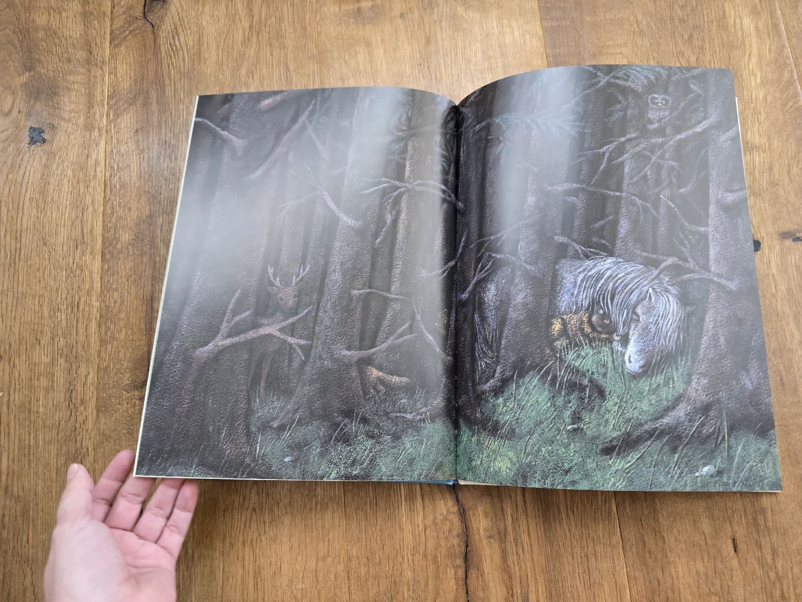 Libri: Indianerjunge Kleiner Mond,Top – Usato da Wittenbach venduto da Tigerlili 3