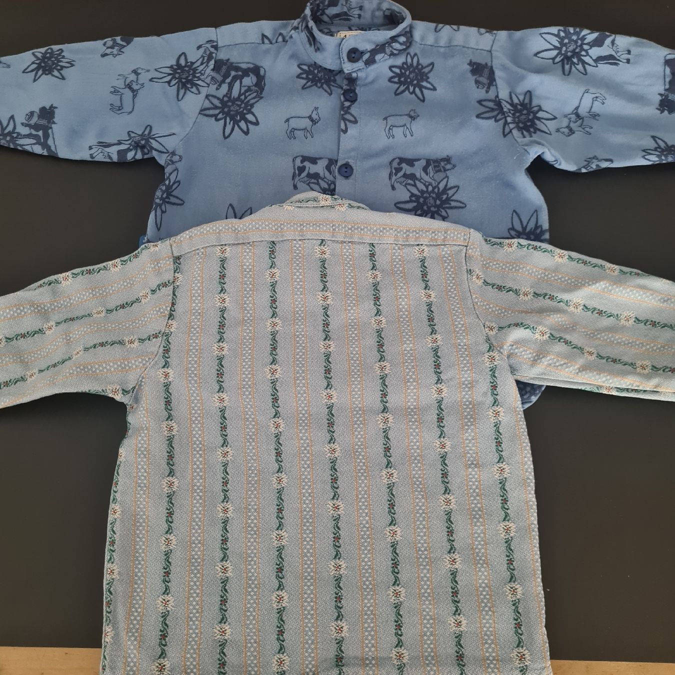 Lotti & Set di vestiti: 2 Edelweiß Hemden Gr. 92 – Usato da Steinen venduto da turbogeiss99 2