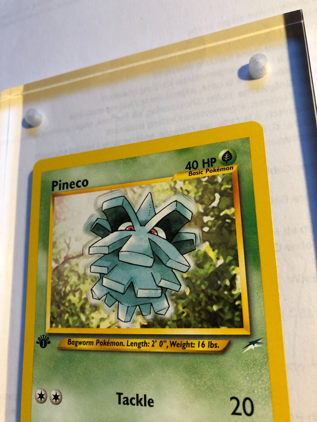 Sammelbilder & Trading cards: Pineco 1st Neo Destiny - MINT - ab 1.- – Gebraucht aus Giubiasco von dan_pr8b 3