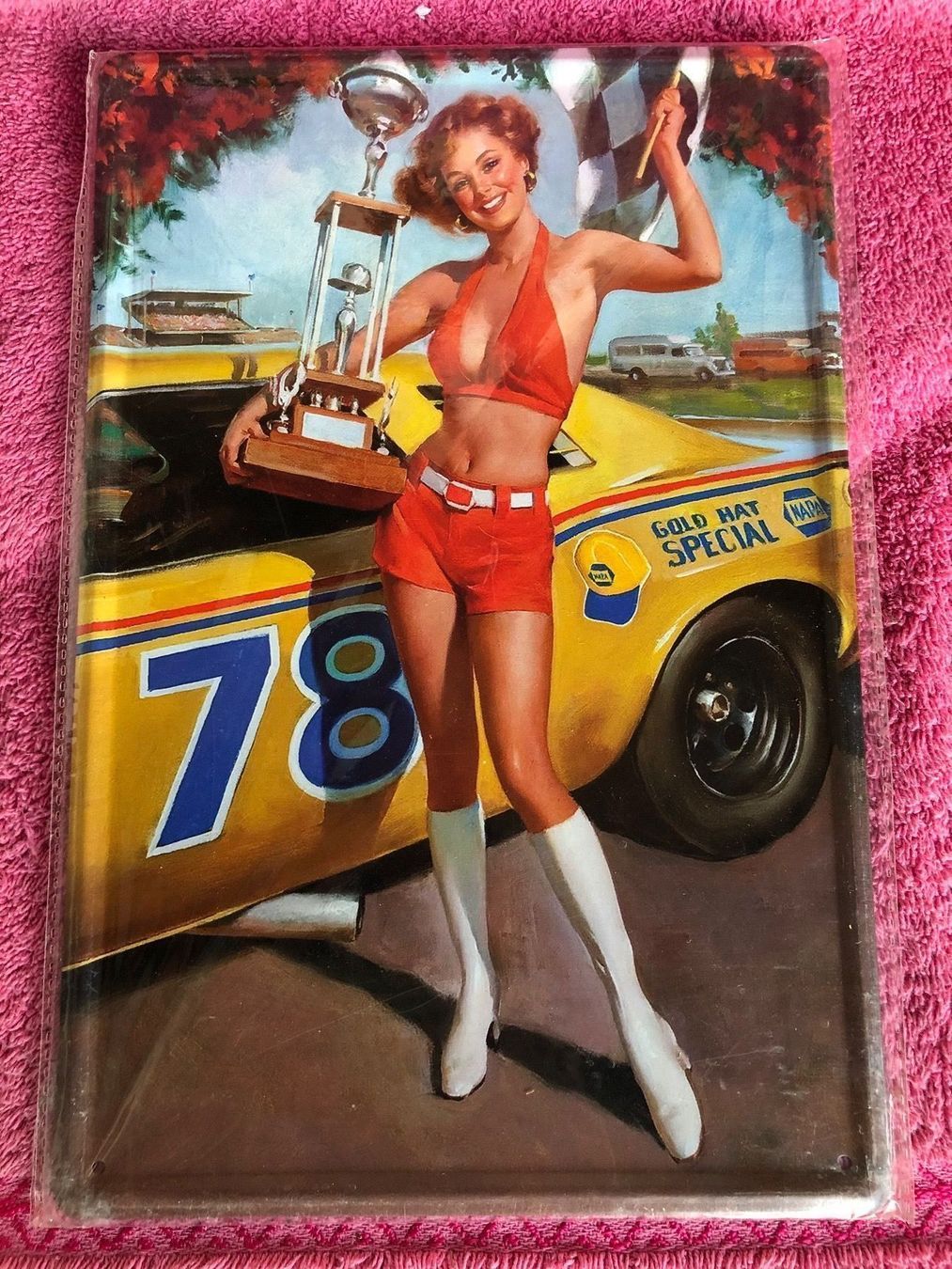 Schilder: Pin up us car nascar – Neu (gemäss Beschreibung) aus Reinach AG von rares75