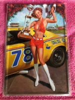 Pin up us car nascar