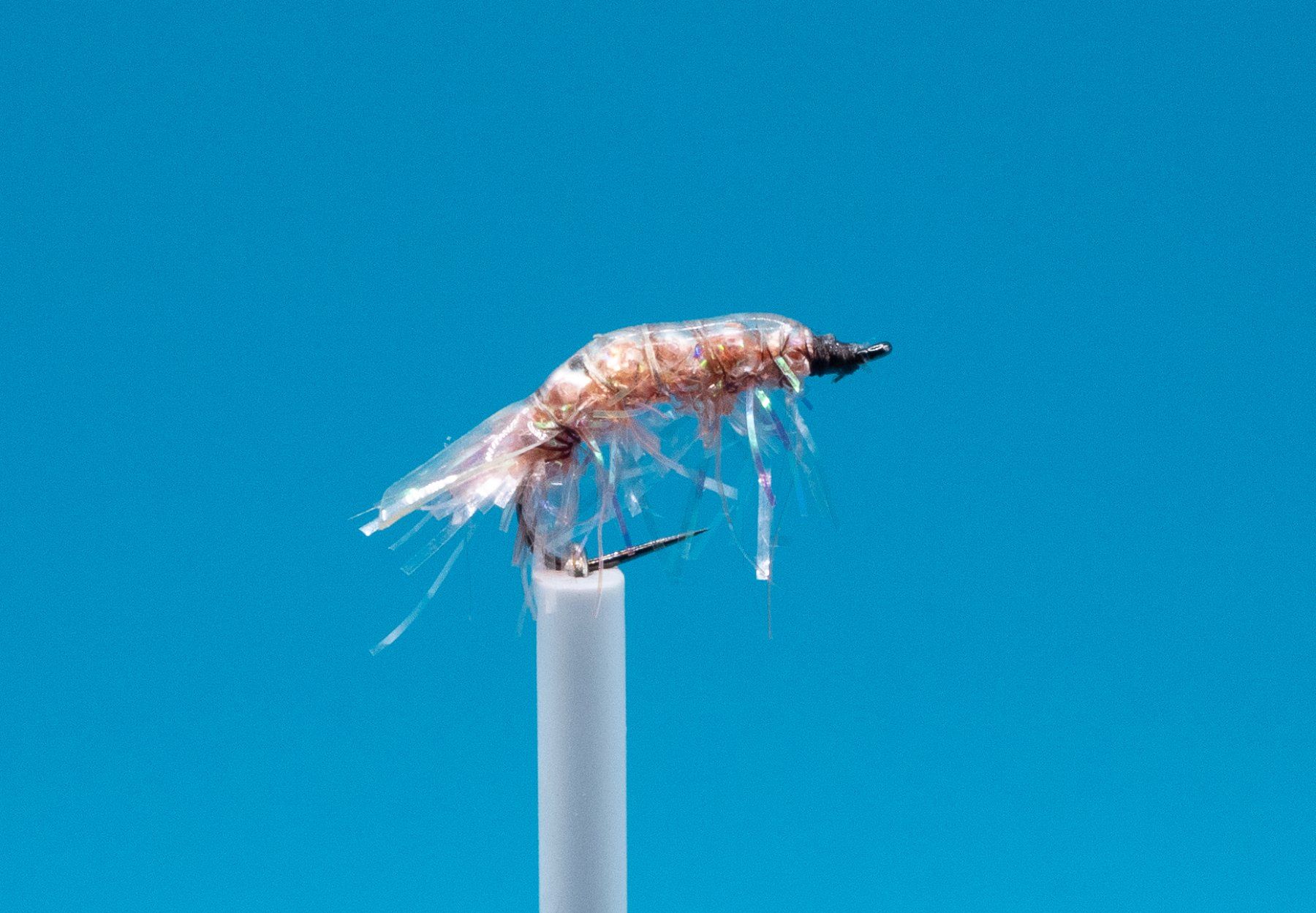Esche: 9 verschiedene Krebse plus eine Emerger – Nuovo e nell'imballaggio originale da Grenchen venduto da firefly2000
