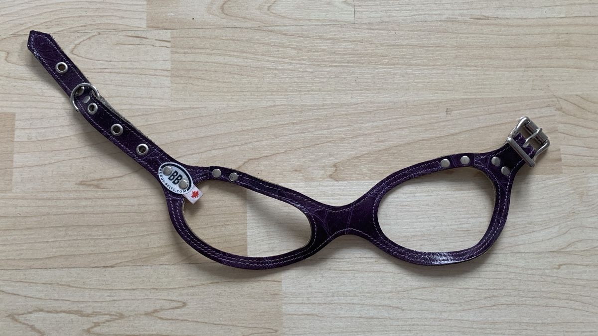 Guinzagli & Collari: Buddy Belt violett Gr. 4 – Usato da Walenstadt venduto da Smokyboy