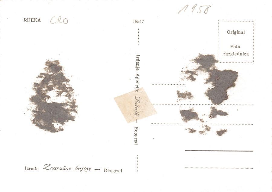 Cartoline postali: Rijeka, datiert 1958 – Usato da Frauenfeld venduto da POML 1