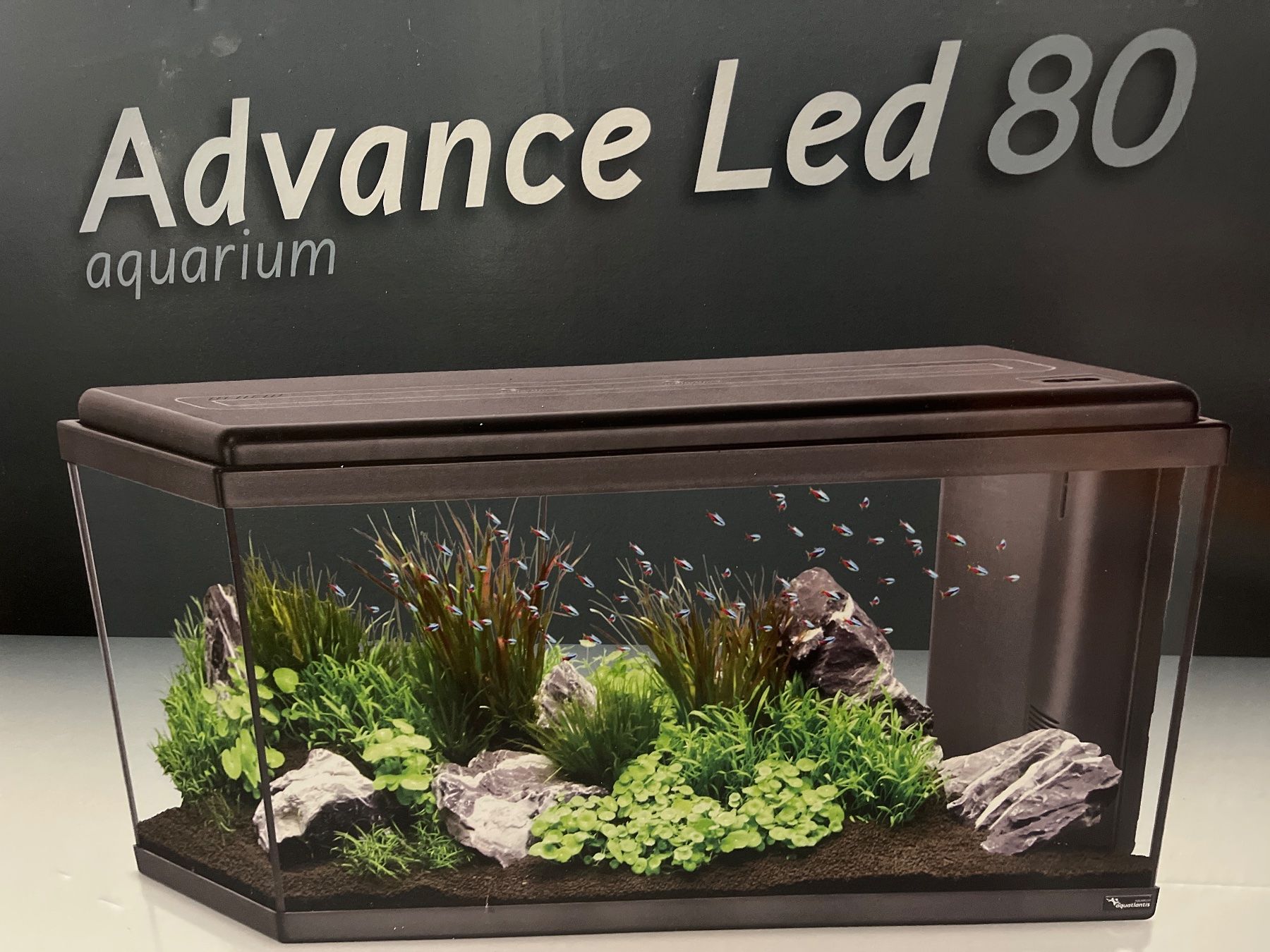 Acquari: Aquarium Advance Led 80 avec éclairage – Usato da Plan-les-Ouates venduto da babsbonplan