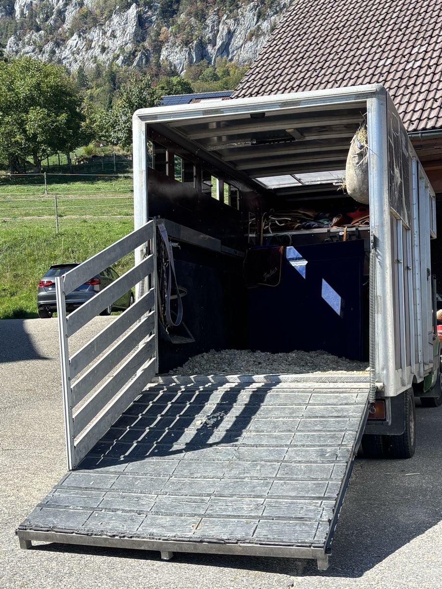 Iveco Veicoli commerciali: Pferdetransporter Iveco – Usato da Balsthal venduto da Mluethi 2