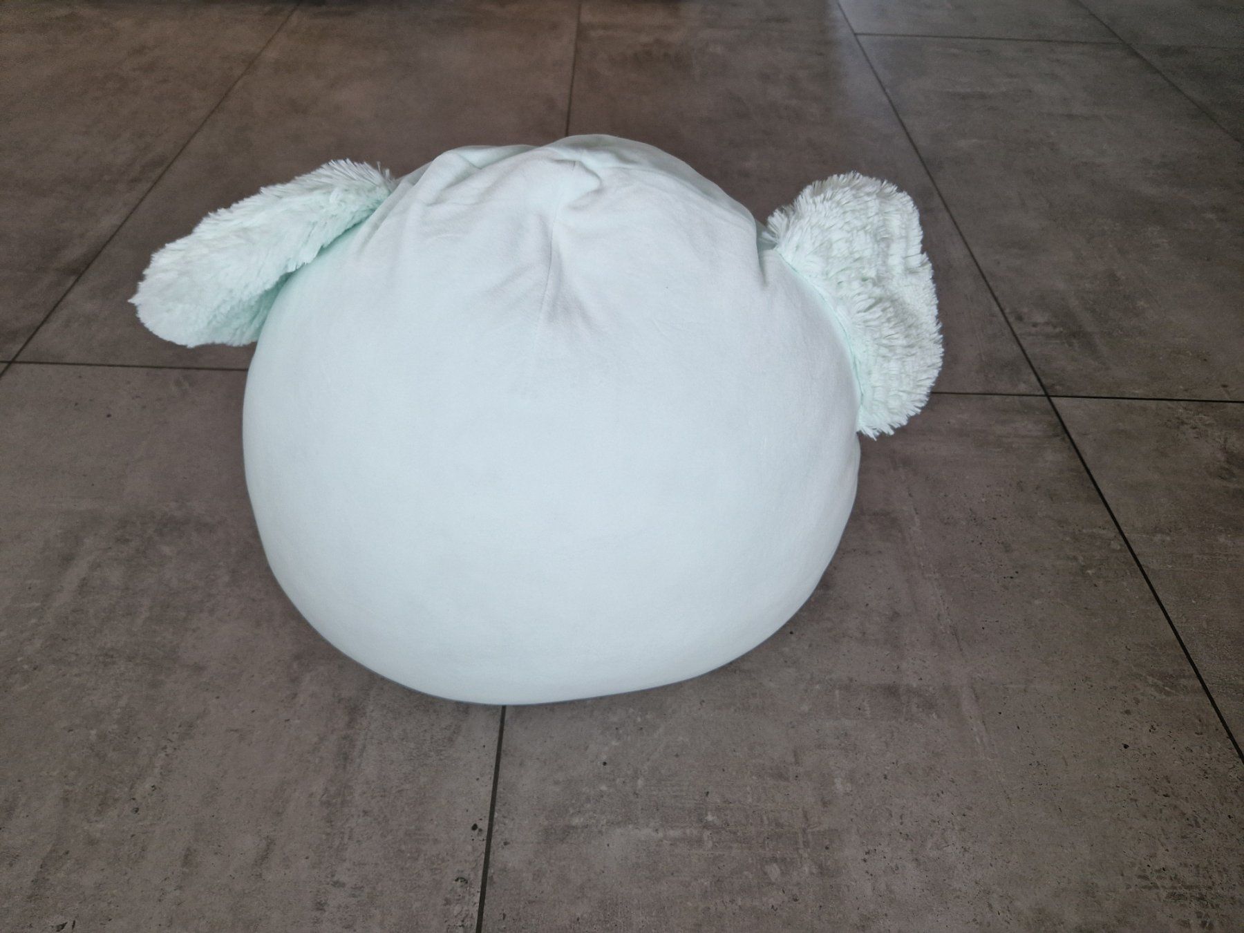 Squishmallows Giocattoli: Squishmallow Stofftier Koala, 50 cm gross – Usato da Dagmersellen venduto da ejord 1