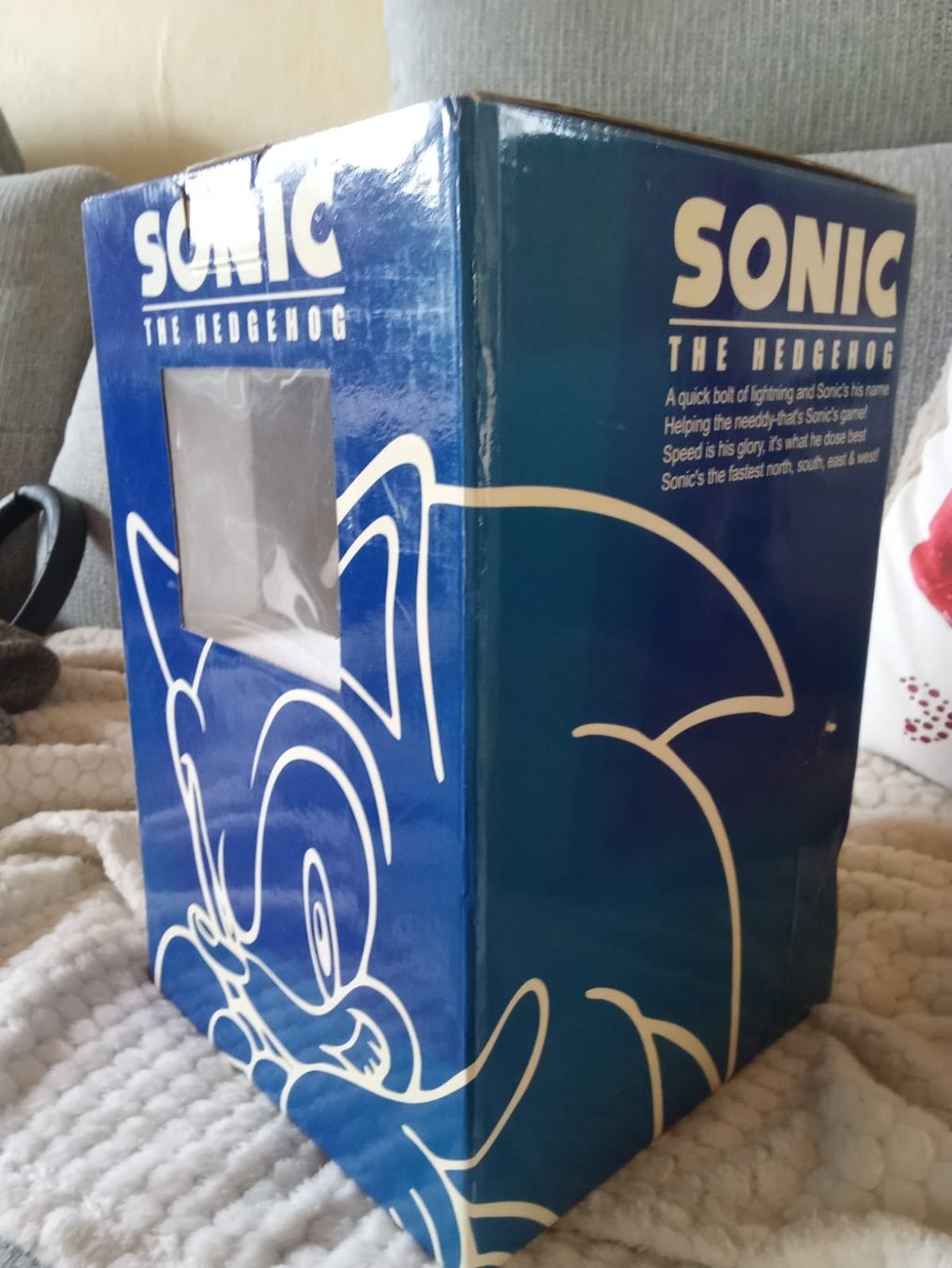 Statuette: Sonic the Hedgehog 10th Anniversary Limited Edition Statue – Nuovo (secondo la descrizione) da leytron venduto da willowlepetit 2