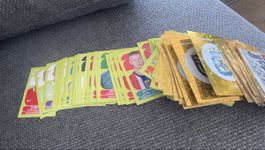 137x Panini Stickers WM 2026