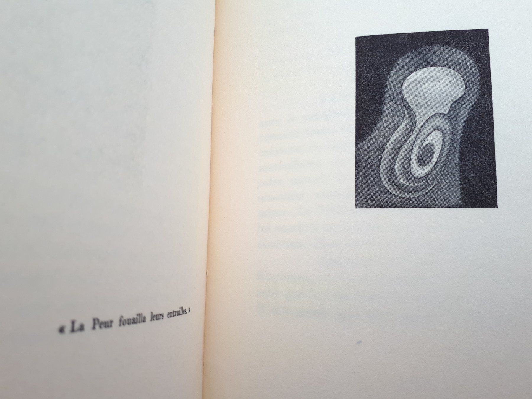 Bücher: Copeaux par Rosette Dubal – Gebraucht aus Lausanne von LasloH 2