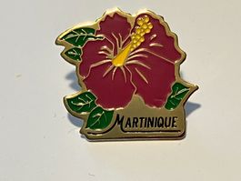 1 Pin Martinique