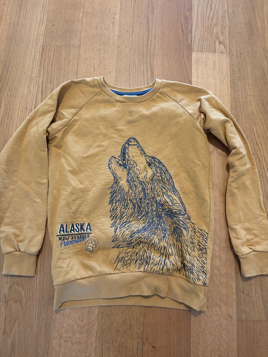 Pullover & Sweatshirts: 3 Kinder Pullover Grösse 140 – Gebraucht aus uster von kar_9rxp 3