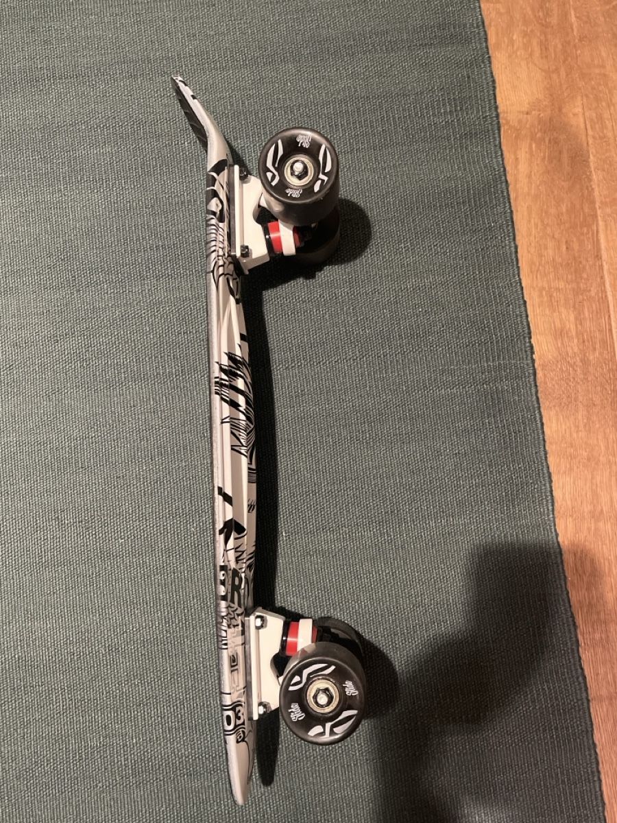 Penny Skateboards Skateboards: Penny Board – Gebraucht aus Schindellegi von Zurpan 1