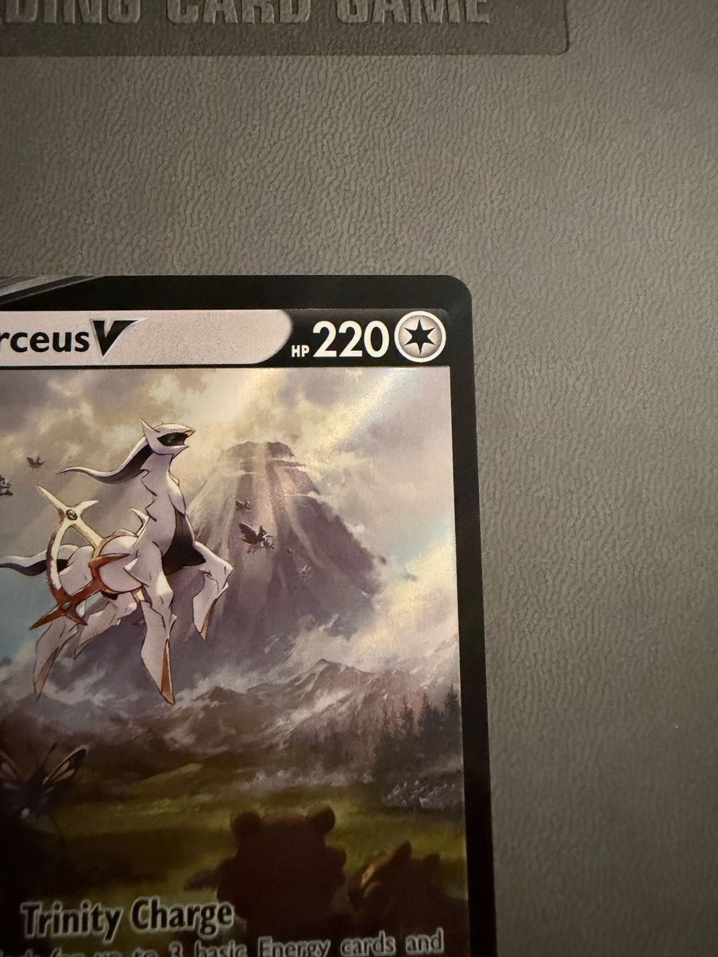 Pokémon Carte collezionabili: Arceus V (SWSH 204) – Usato da Biel/Bienne venduto da SeeLoewe55 3
