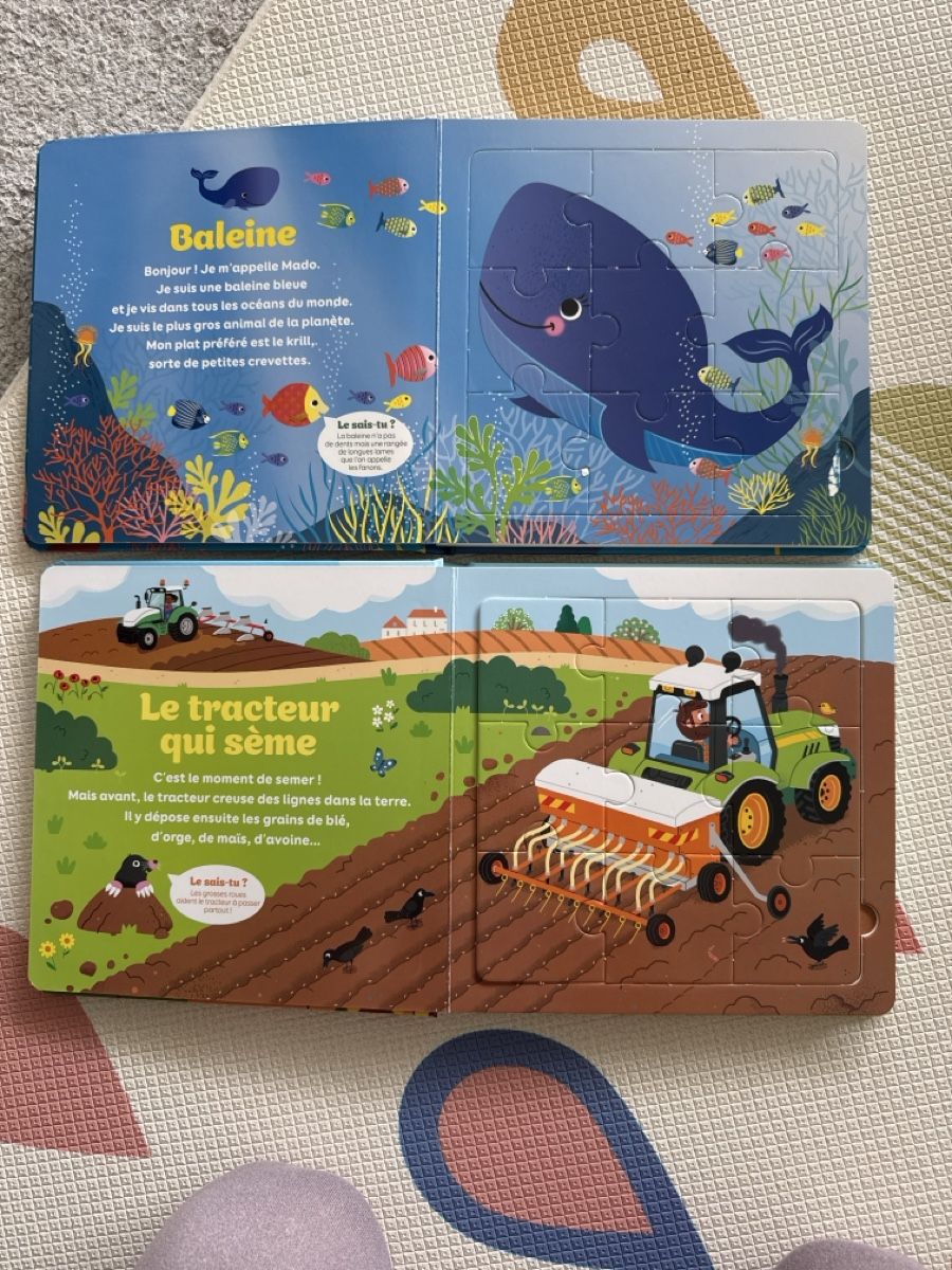 Bücher: 2 Puzzle books in French – Gebraucht aus Zug von axx3l 2