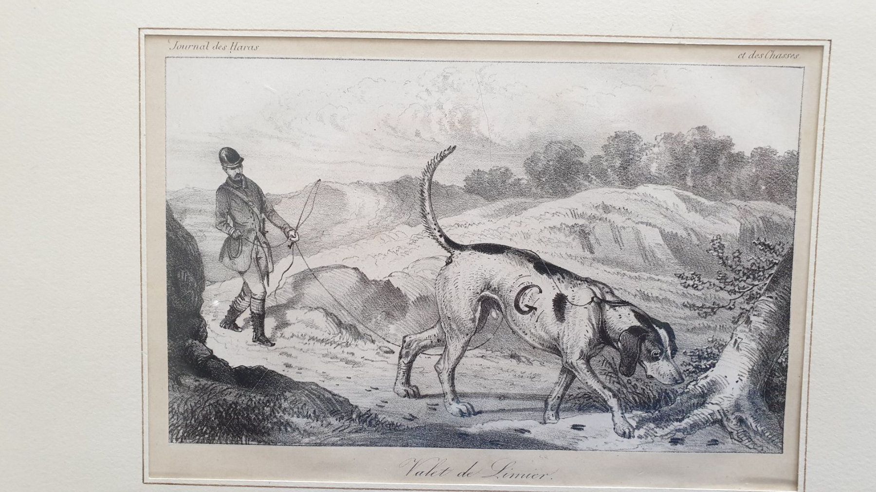 Grafica & Litografie: Jagd. Lithographie. 19. Jh. – Usato da Goldach venduto da armando_r