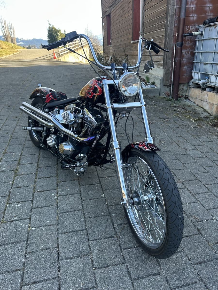 Harley-Davidson Chopper: Harley Davidson Softail – Usato da Alterswil FR venduto da Puchulus 3
